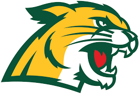 Northern Michigan logo