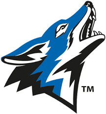 Yotes Exchange logo